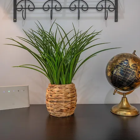 Encosta S Jose - Piscina - Estacionamento * Guia (Faro)