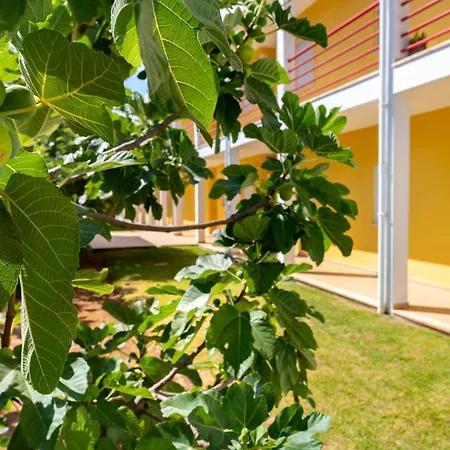 Encosta S Jose - Piscina - Estacionamento * Guia (Faro)