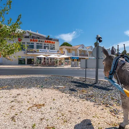 Encosta S Jose - Piscina - Estacionamento
